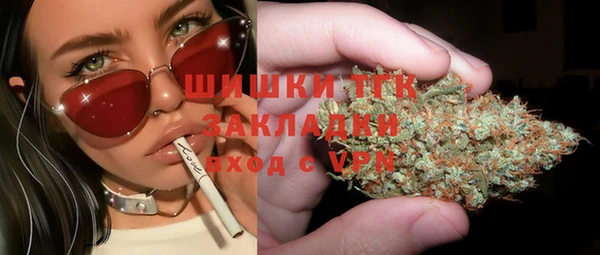 хмурый Горняк