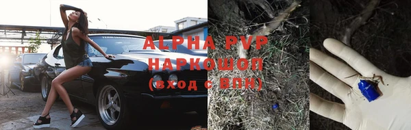 хмурый Горняк