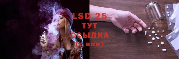 хмурый Горняк