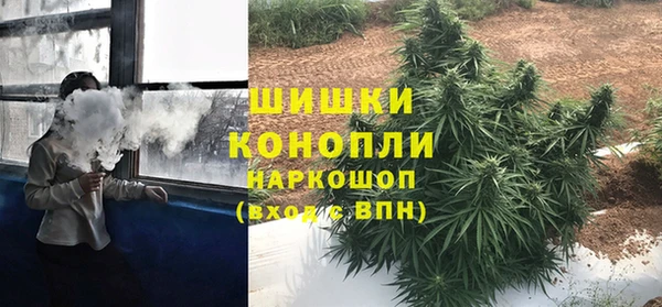 гидропоника Горнозаводск