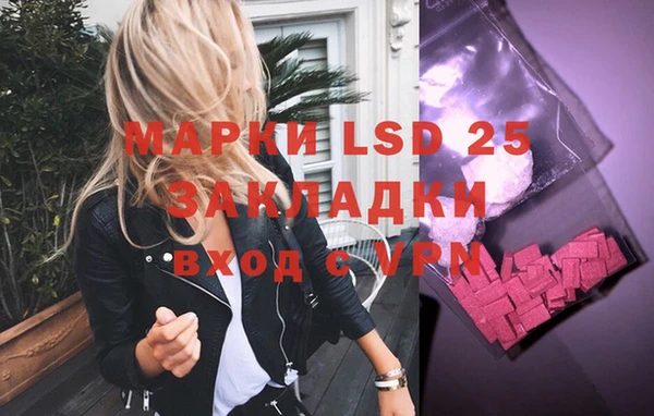 гидропоника Горнозаводск