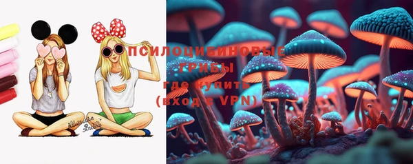 гидропоника Горнозаводск