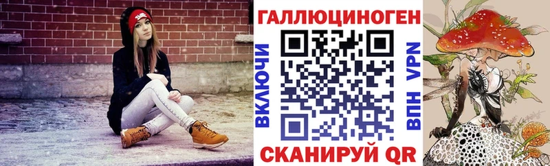 дарк нет телеграм  Курчалой  Галлюциногенные грибы Magic Shrooms 