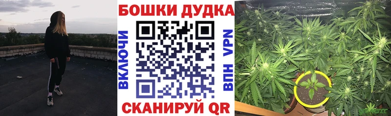 Бошки Шишки марихуана  Курчалой 